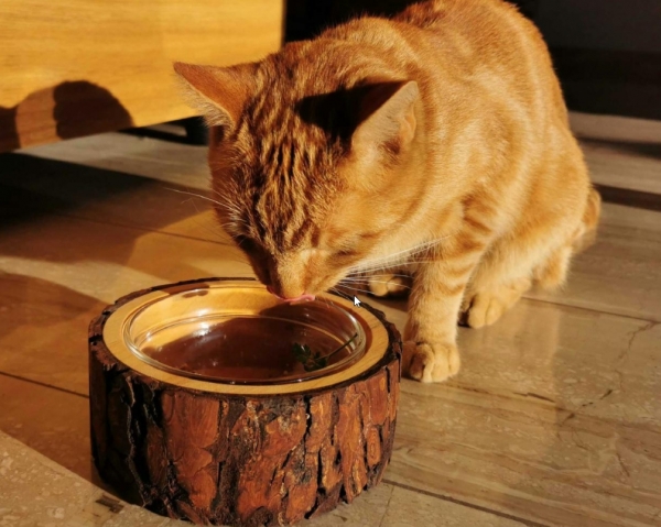 Holz - Hundefutternapf, Fressnapf, Katzen, Holz - Tier Futternapf